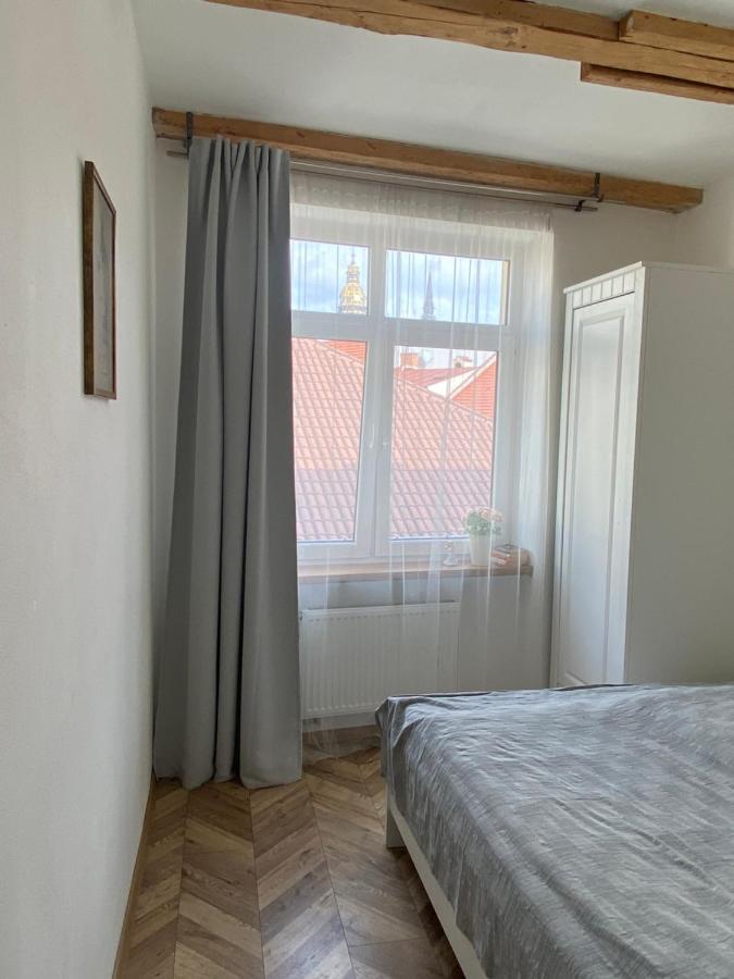 Apartment Historical V18
