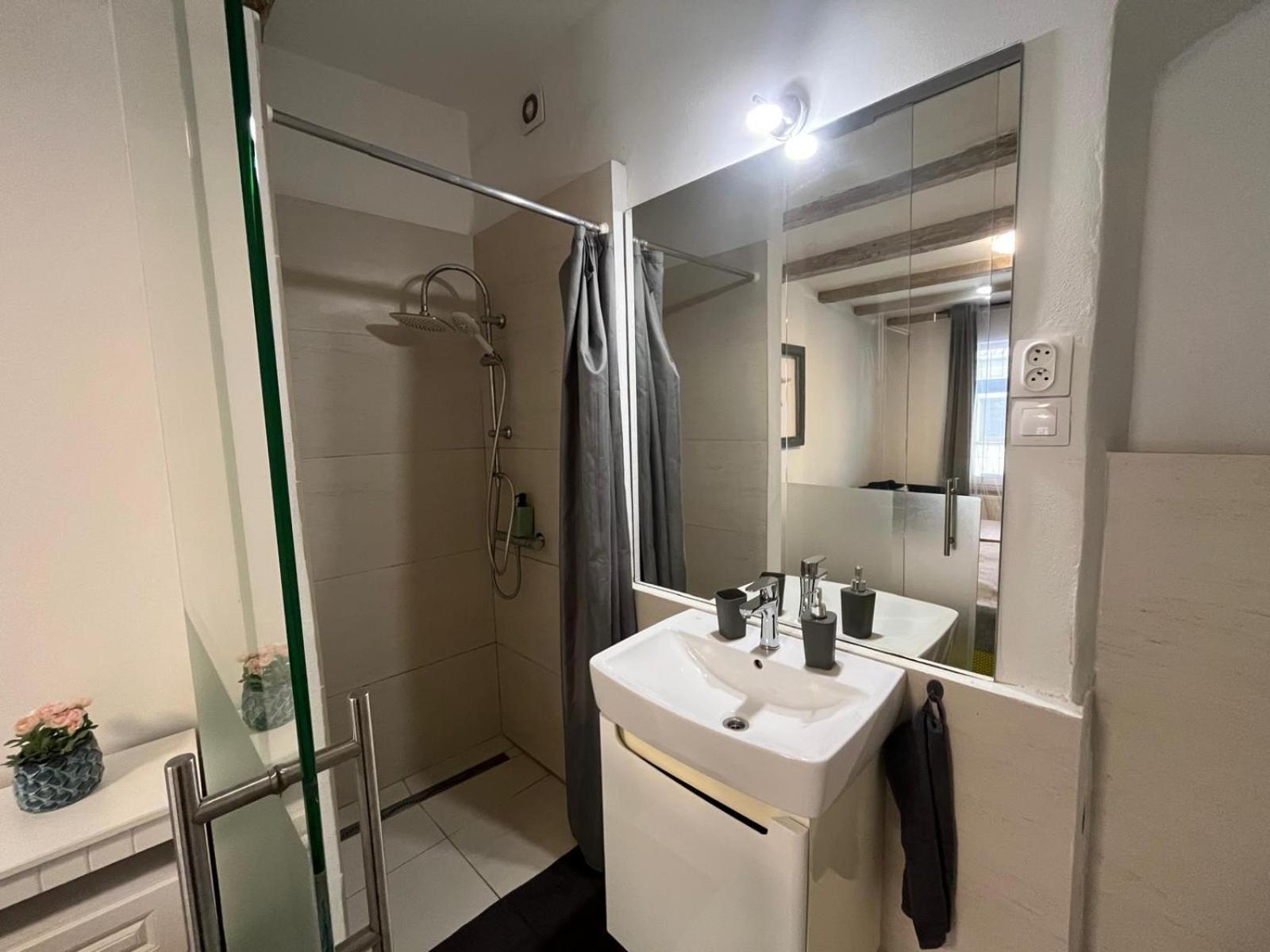 Apartment Historical V18 *